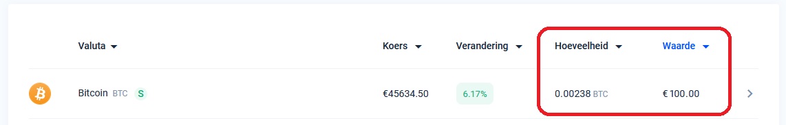 100 euro aan Bitcoin kopen